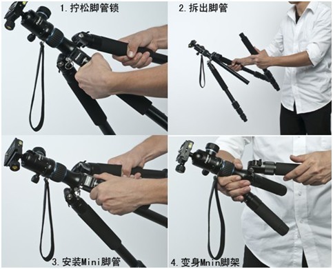 未命名3.jpg