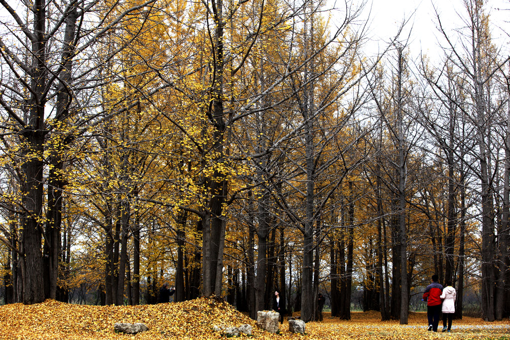 _MG_6764.jpg