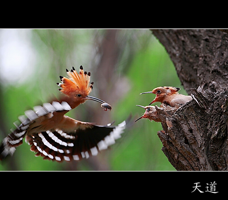 20100814_cd84f9fa441736bc17kIbr11.jpg