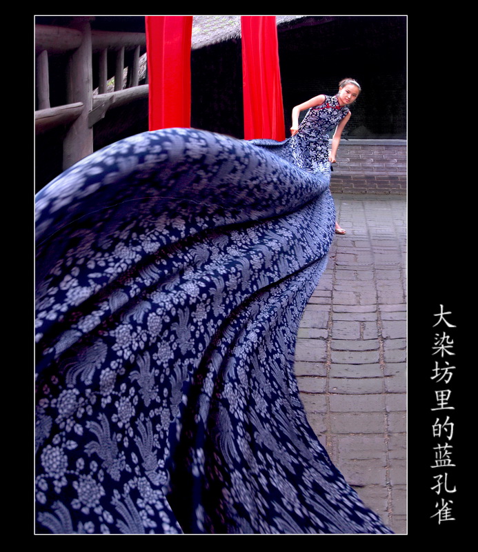 20100814_6cc77959d8283e11dgIPVgMz.jpg