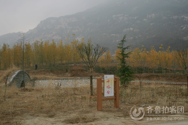 斗鸡台 - 济宁拍客 - 齐鲁社区 - 山东第一互动社