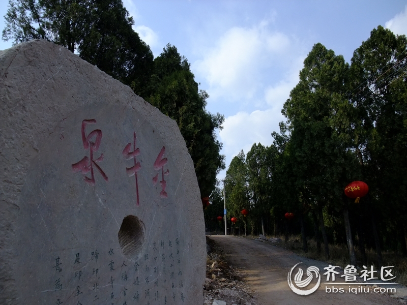 安丘市辉渠镇金牛泉风景区(七)