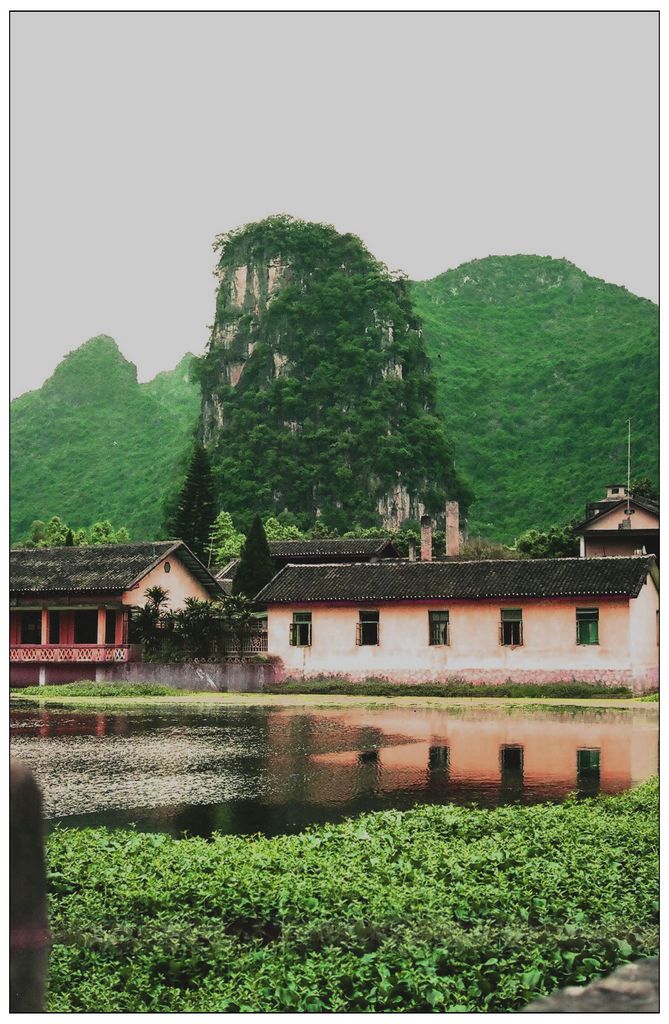 南天一柱.jpg