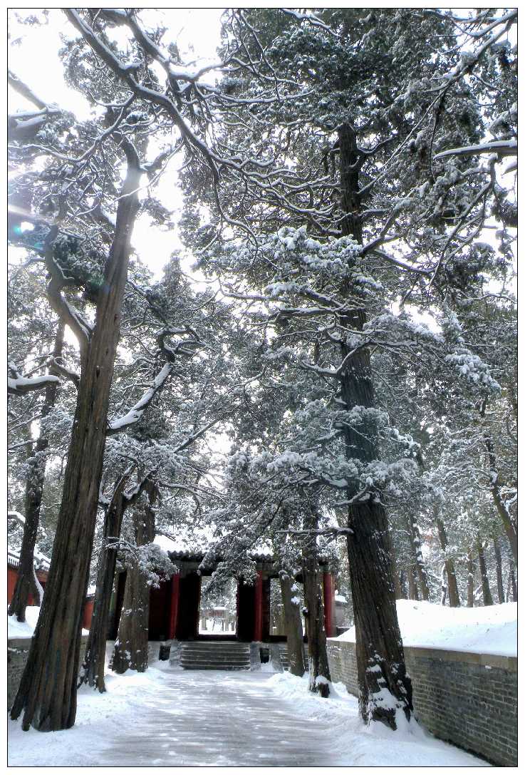 孔林瑞雪.jpg