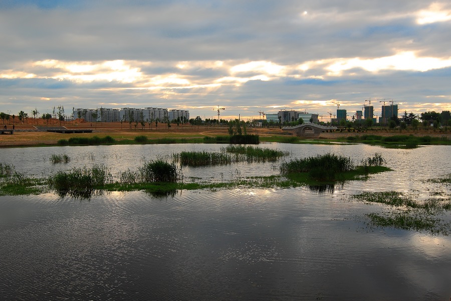 _MG_5795.jpg