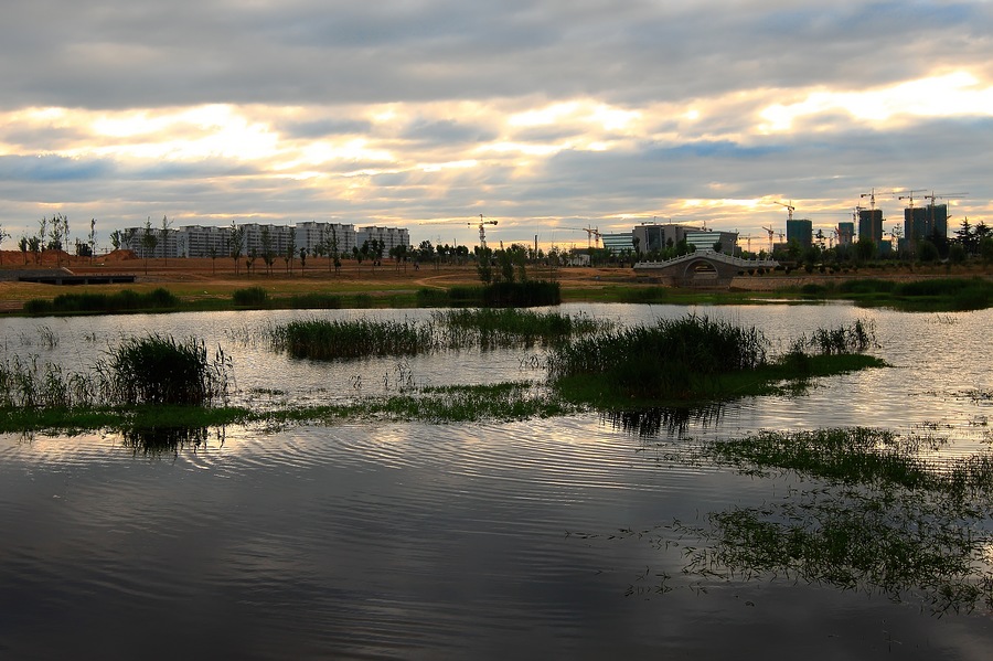 _MG_5799.jpg