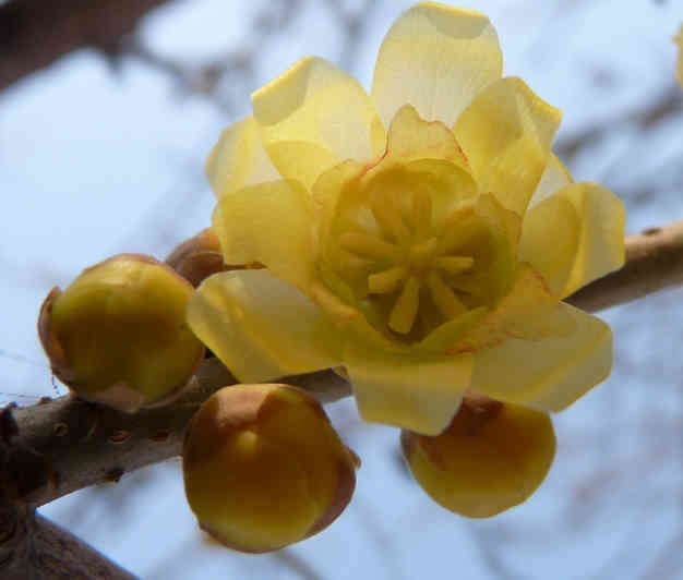照片 341.jpg