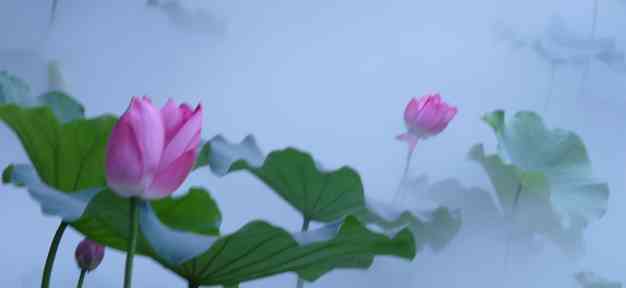 照片 539.jpg