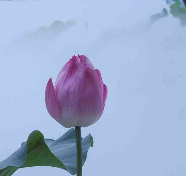 照片 537.jpg