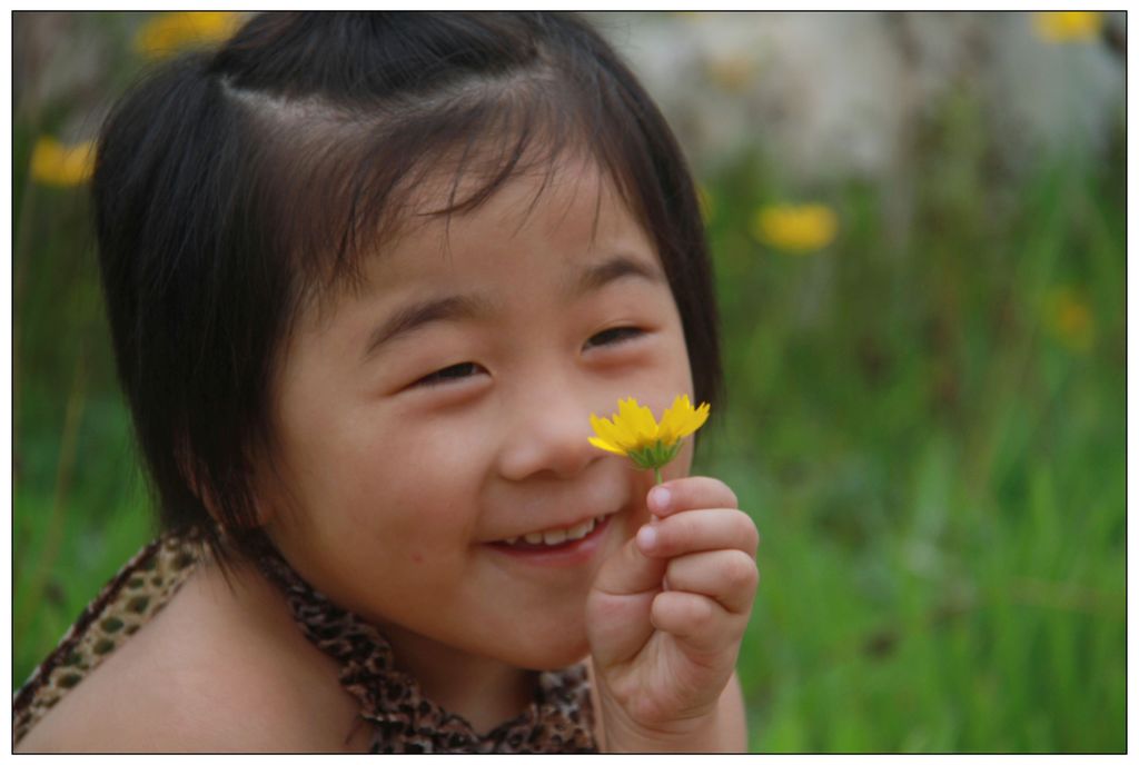 花儿灿烂.jpg