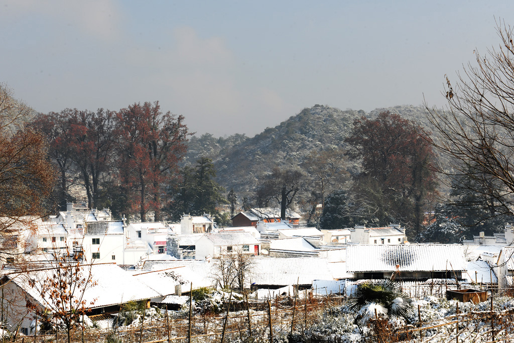 DSC_8450.jpg