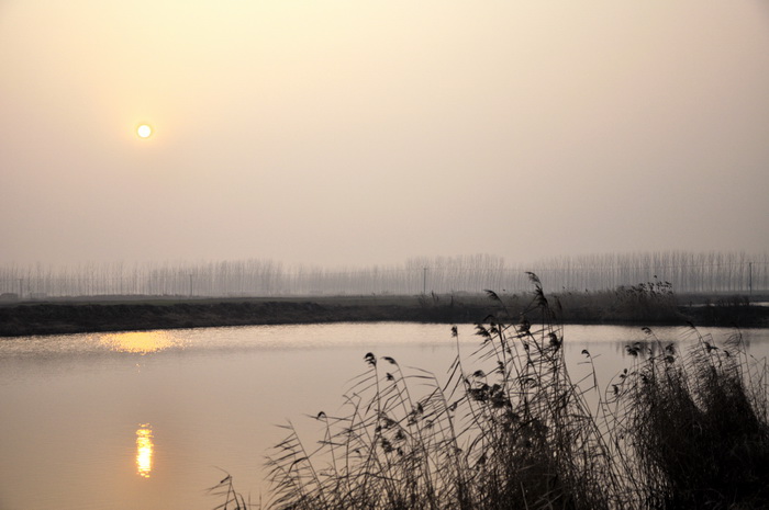 DSC_0219.jpg