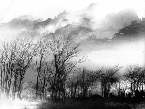 2008120201-009.jpg
