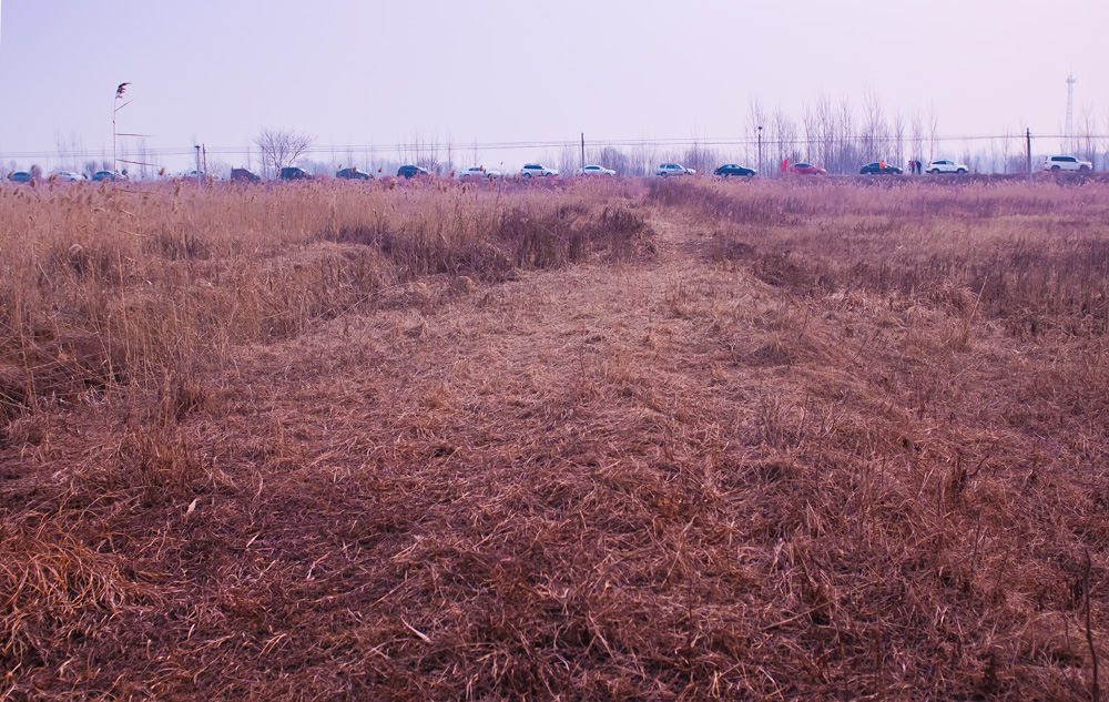 采风花絮3.jpg