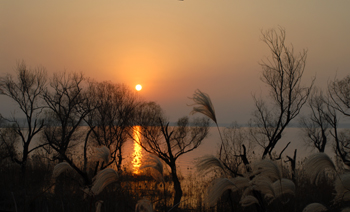 DSC_0159-1.jpg