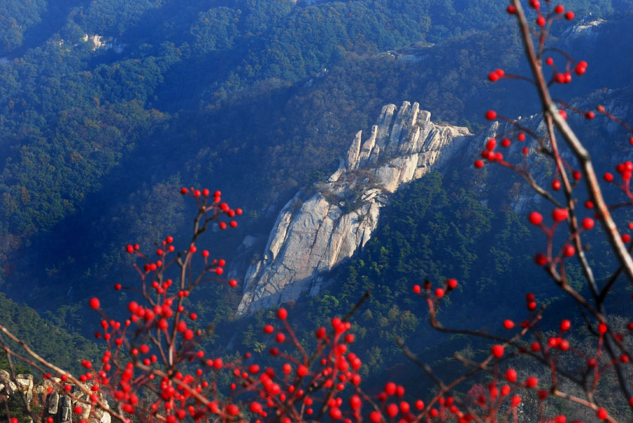佛掌天下（蒙阴山景）1--.jpg