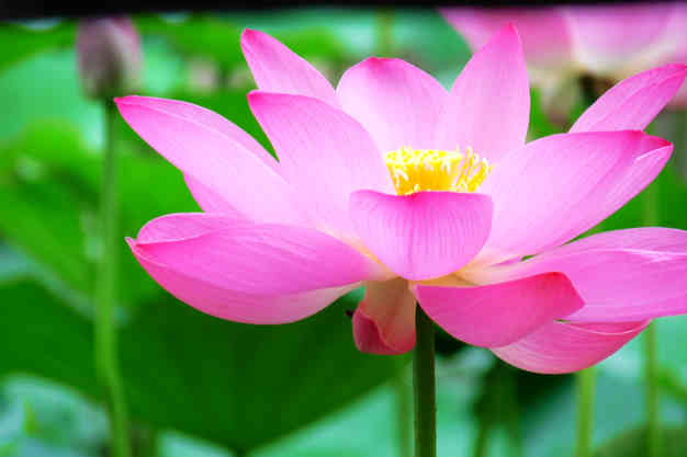 照片 380.jpg