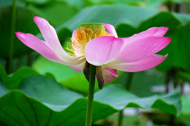 照片 379.jpg