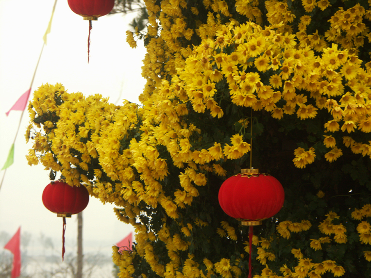 PICT6305.JPG