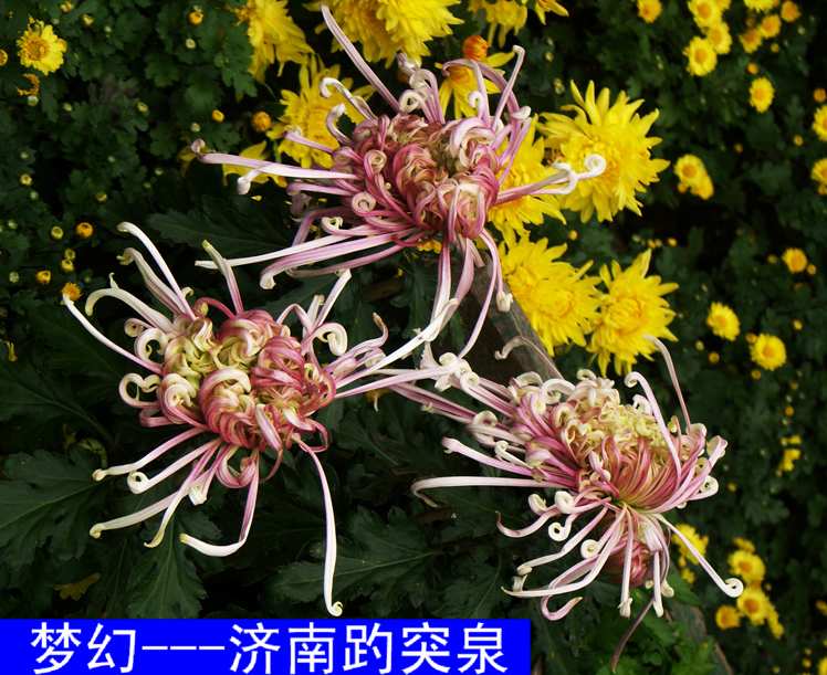 复件 PICT5936.JPG