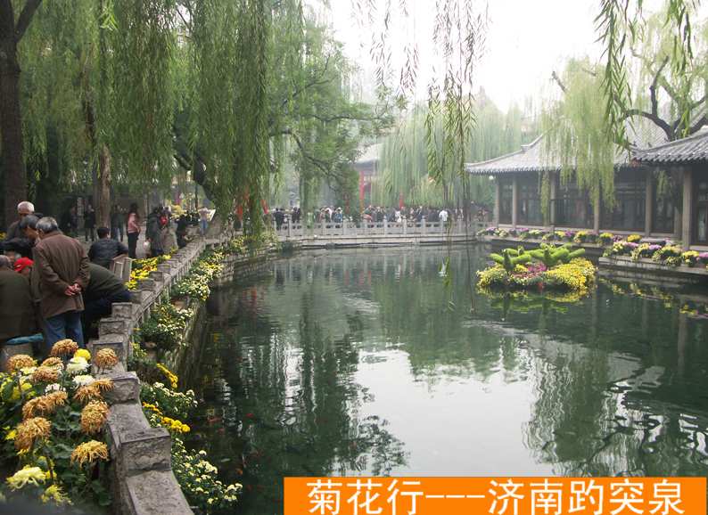 PICT5950.JPG