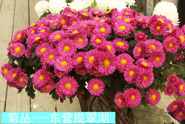 PICT6320.JPG