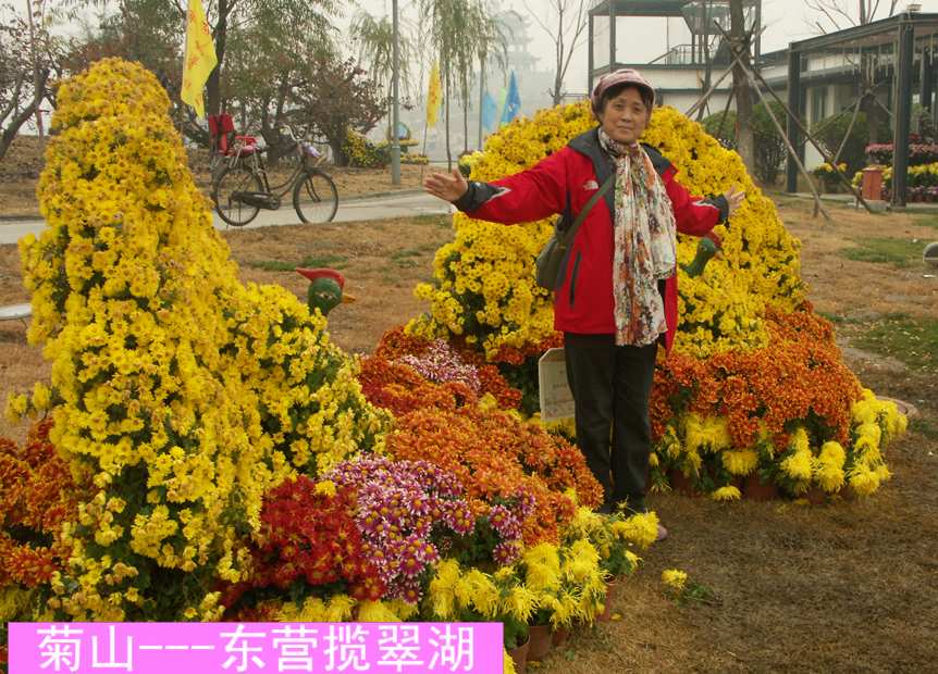 PICT6329.JPG