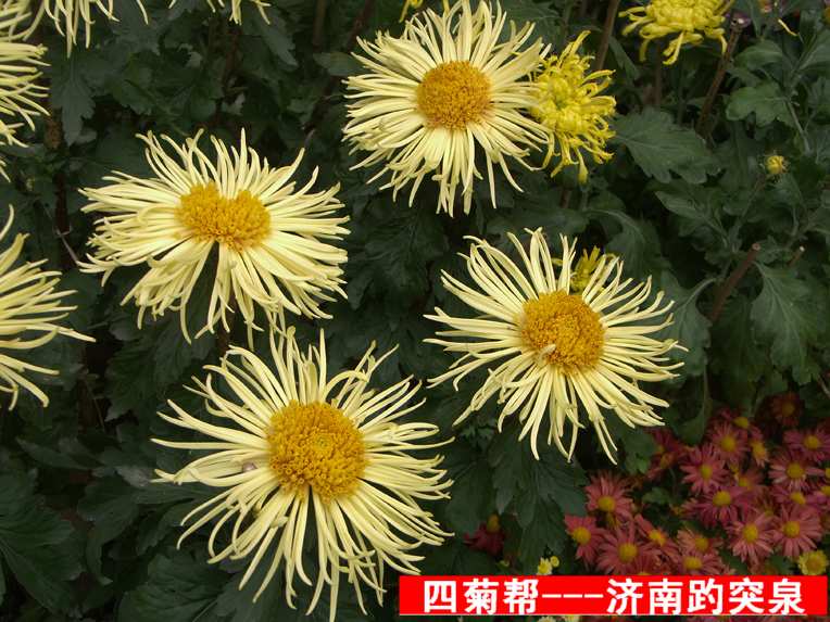PICT5920.JPG