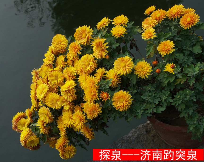 PICT6227.JPG