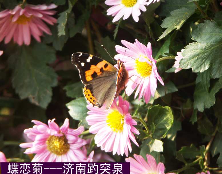 PICT6138.JPG