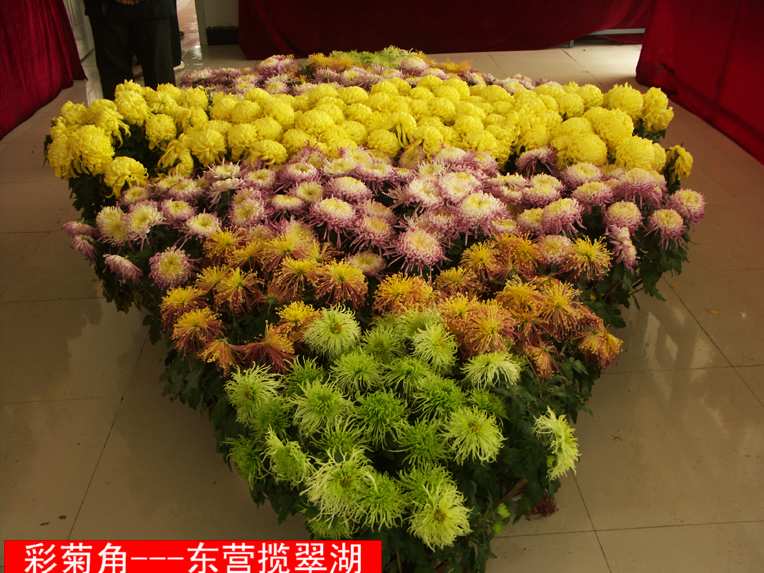 PICT6321.JPG