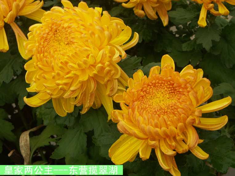 PICT6307.JPG