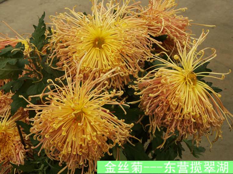 PICT6309.JPG