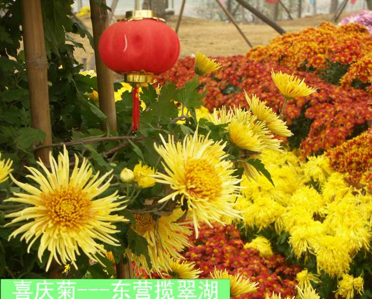 PICT6308.JPG