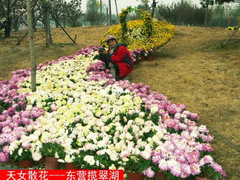 PICT6312.JPG