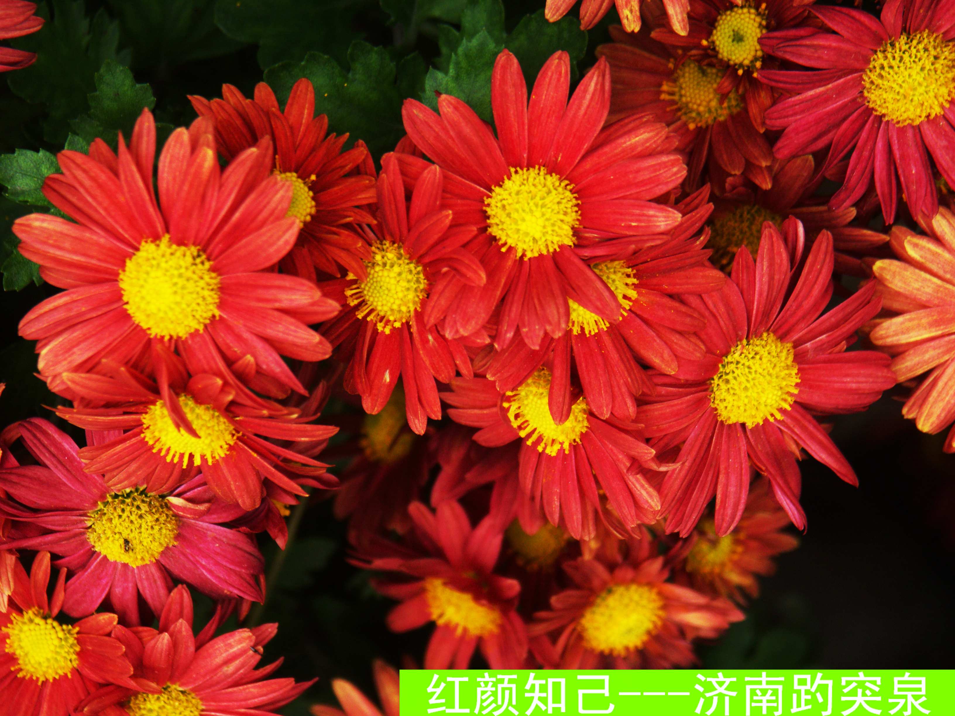 复件 PICT5922.JPG