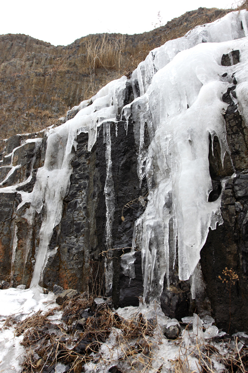 _MG_9264.jpg