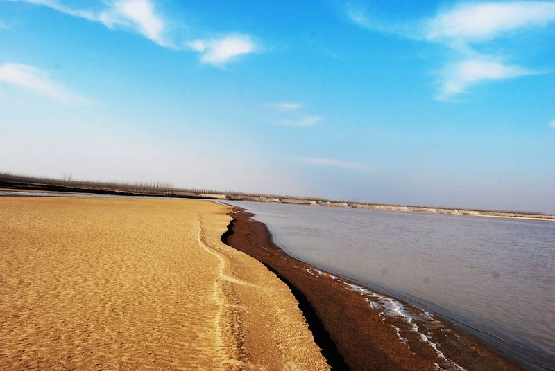 黄河滩区冬日景色