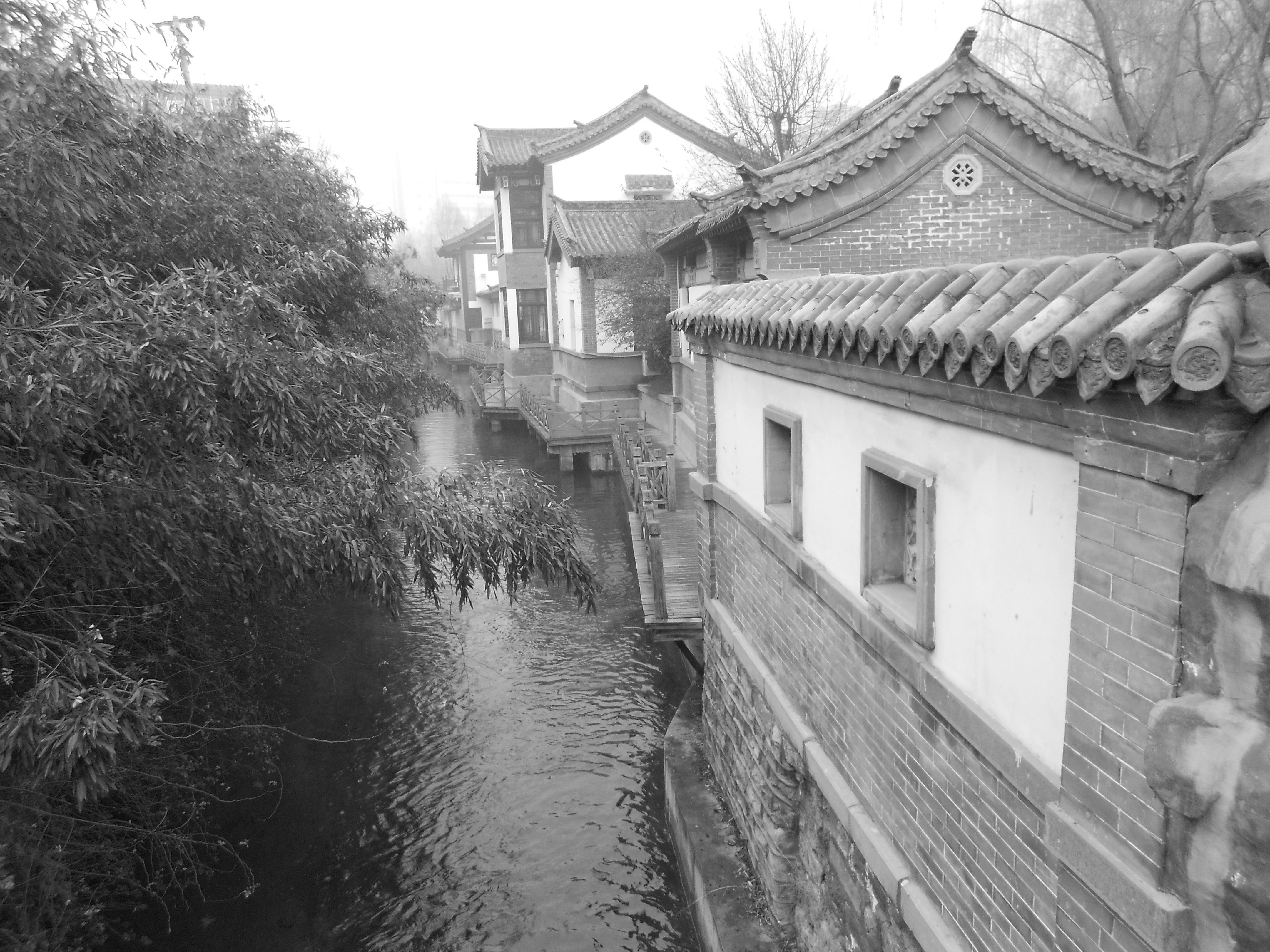 黑白3.jpg
