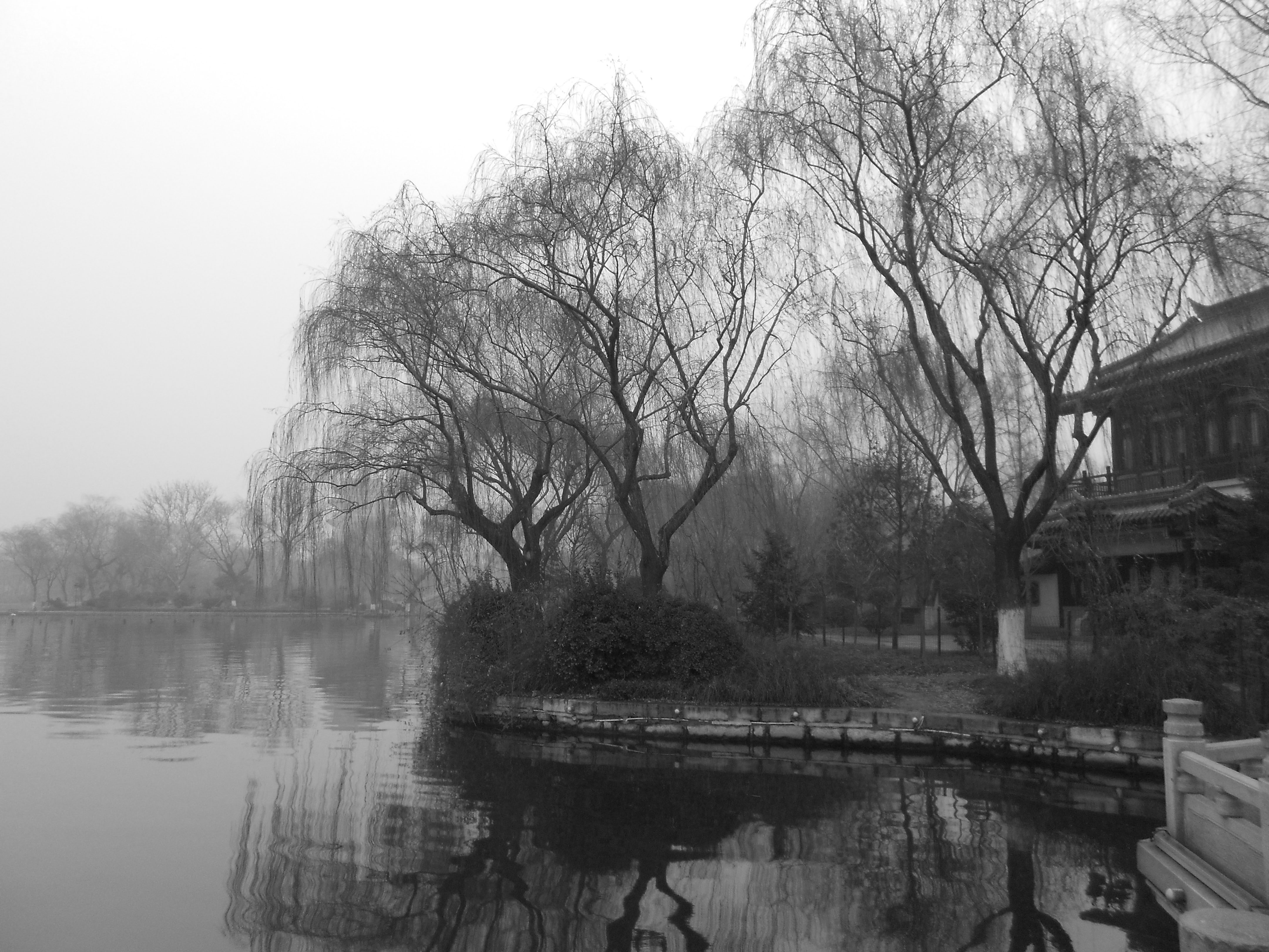 黑白44.jpg