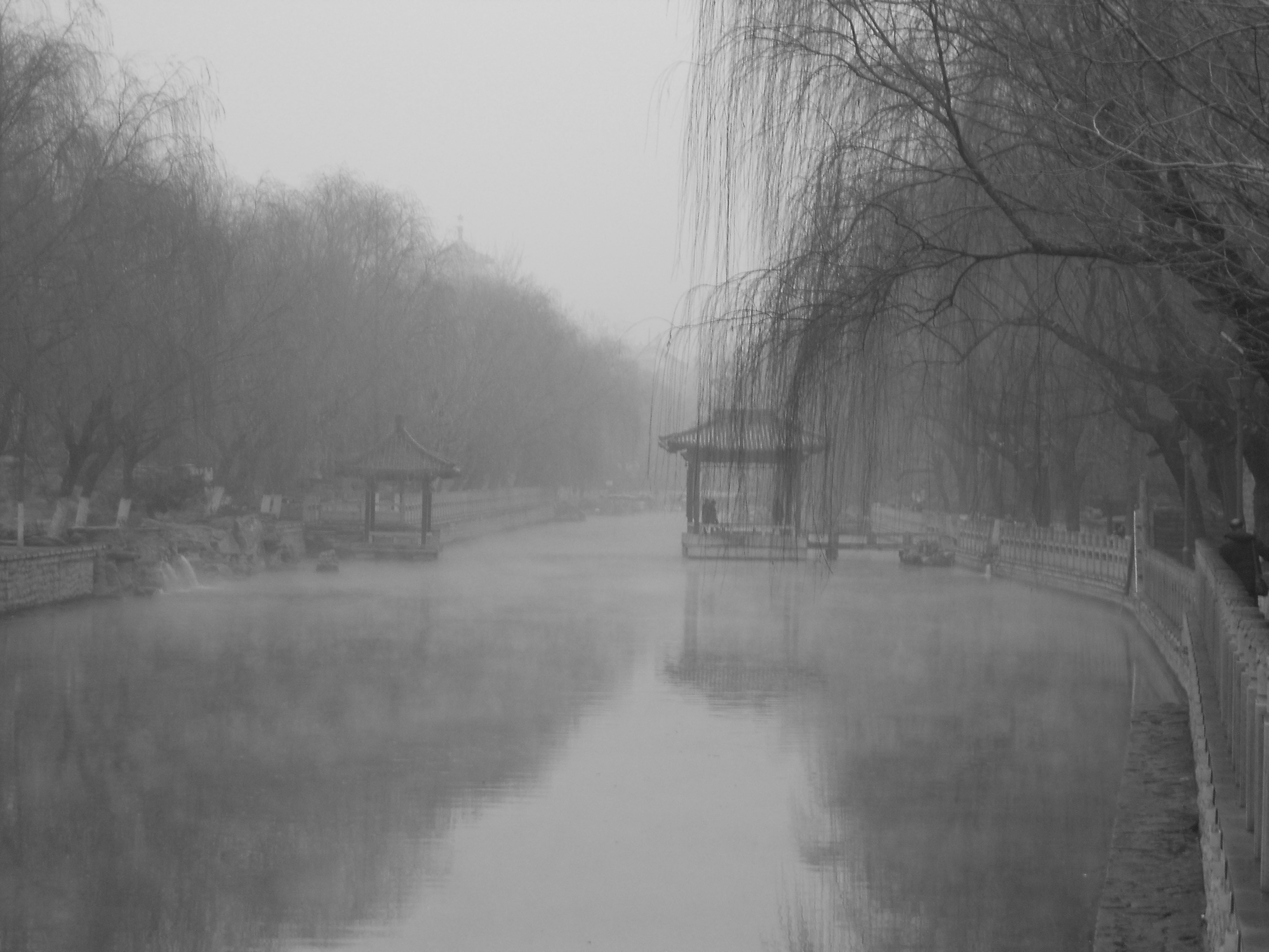 黑白.jpg