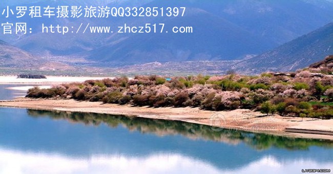 林芝桃花5.jpg