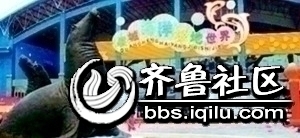 二等奖.jpg