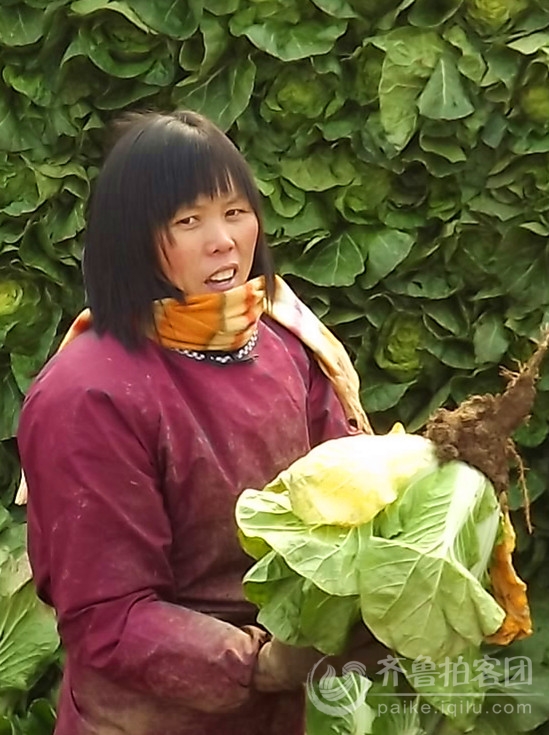 【最美村姑】绿的奉献