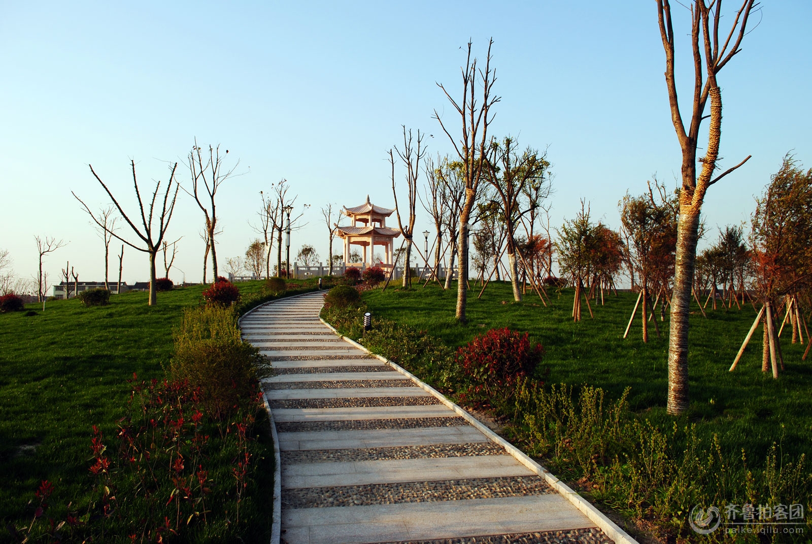 靖江季市公园 - 江苏拍客 - 齐鲁社区 - 山东第一