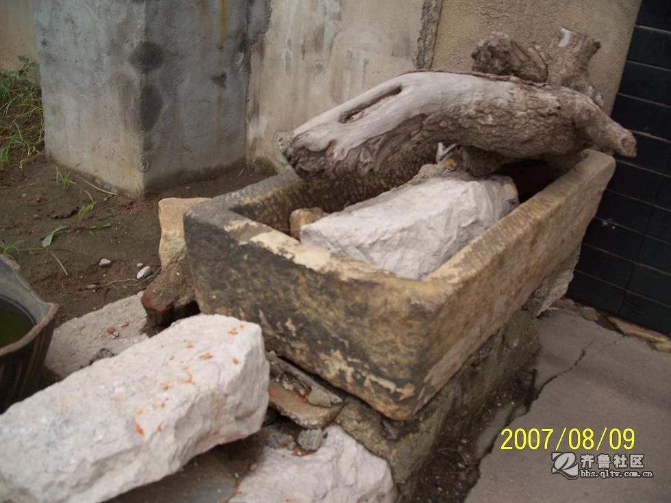 071009晨 2471.JPG