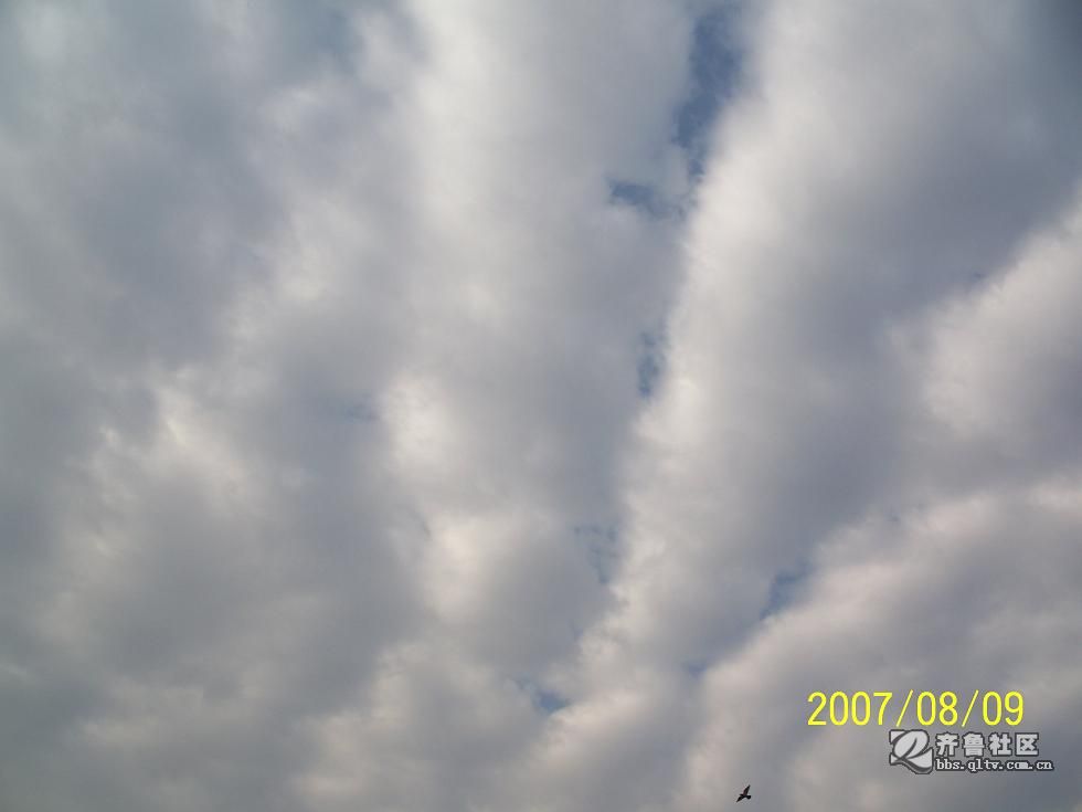 071009晨 2131.JPG