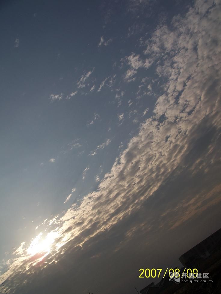 071009晨 1311.JPG