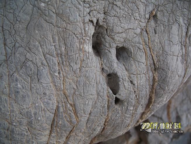 都市山神王_重生山神_炼妖诀_极品山神_经典