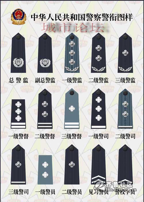 警衔图片 71335 500x700